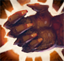 Yeti's Nail