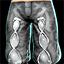 Champion's Pants