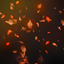 Autumn Leaves