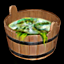 Salty Seaweed Water