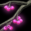 Branch of Todran