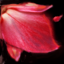 Garden Master's Leaf