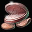 Damaged Copper Coin