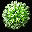 Glorim