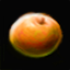 Large Pumpkin