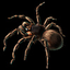 Gourmet Roast Spider Leg