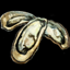 Oyster