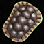 Aindel's Turtle Shield