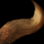 Luxurious Wolf's Tail