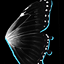 Black Butterfly Wings