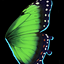 Green Butterfly Wings