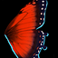 Red Butterfly Wings