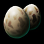 Raptor Egg