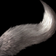 Dire Wolf's Tail